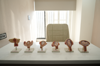 Havya Women's Hospital Gallery